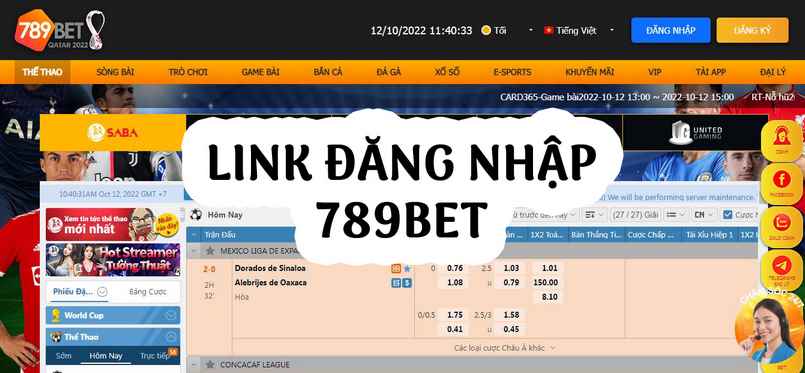 Nhà cái uy tín với nhiều game cá cược chuyên nghiệp