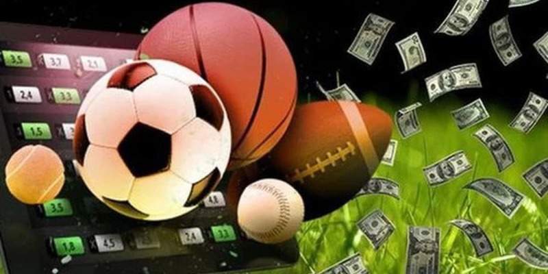 Các cao thủ dùng bí quyết gì để thắng cược bóng đá?
