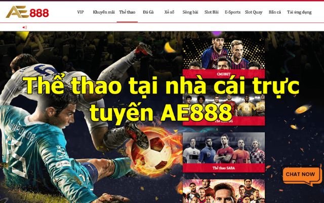 Cá cược thể thao ae888 trực tuyến
